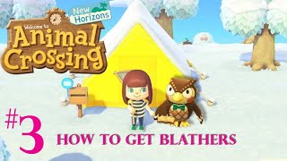Animal Crossing New Horizons Part 3 Gameplay - How to Get Blathers!