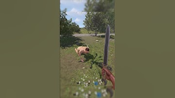 Typical Interaction - Rust