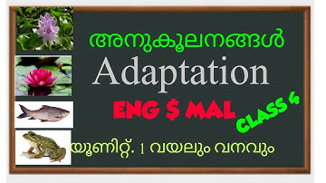 Adaptation അനുകൂലനം class 4 EVS unit 1 വയലും വനവും