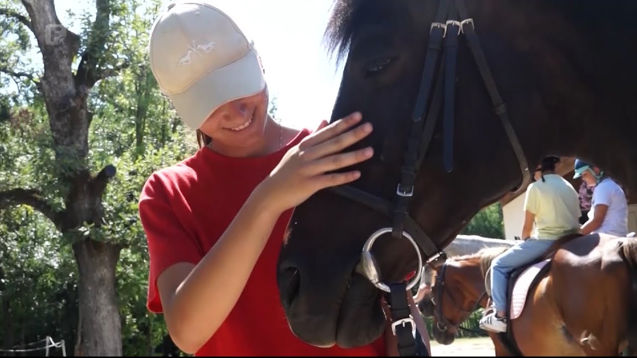 Konjički klub u srcu Hercegovine nudi mir, tišinu i slobodu