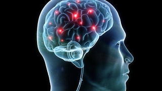 pain and exercise the science of why