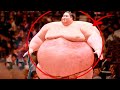 Los Luchadores De Sumo Más Gigantes. ¿De Qué Son Capaces Estos Hombres?