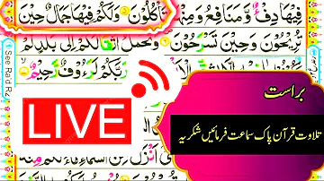 Learn Quran Surah An Nahl 7 Recitation With HD Arabic Text Pani Patti Tilawat 