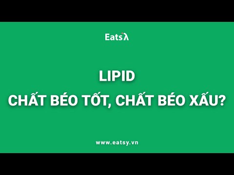 Video: Chất Béo Tốt Và Xấu Có Tạo Nên Sự Khác Biệt Trong Sức Khỏe Mèo Của Chúng Ta Không