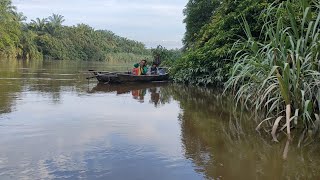 Fun Fishing in the River, Strike Baung Fish and Shrimp | Life in Countryside