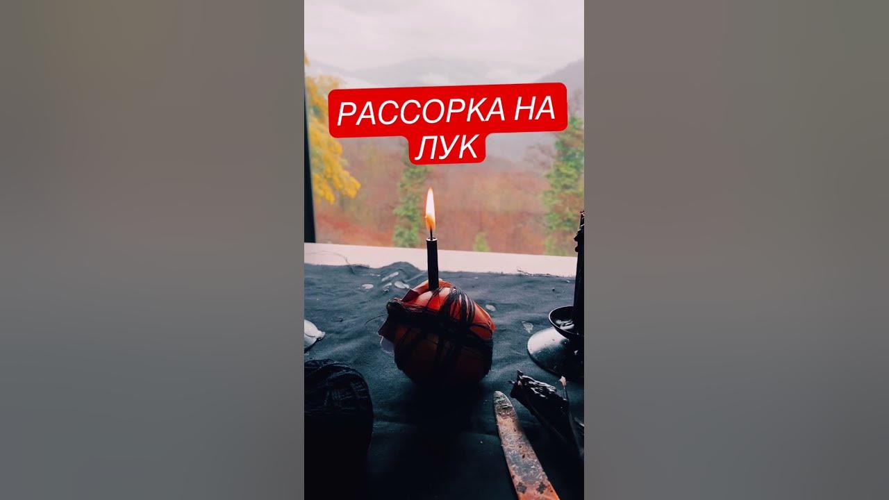 Рассорка на лук без фото