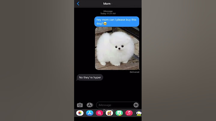 GETTING A DOG PRANK #shorts