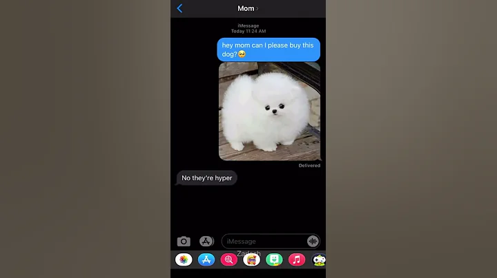 GETTING A DOG PRANK #shorts - DayDayNews