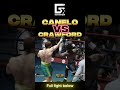 🔥 Canelo Álvarez vs Terence Crawford - Epic Fight Simulation! 2 🥊 September Clash!