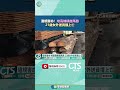 泊外送員交通意外