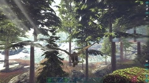 Ark official wiping trash talking tribe