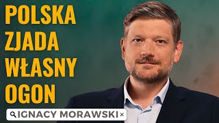 Zostaniemy montownią Europy? Oto co grozi polskiej gospodarce || Ignacy  Morawski #24