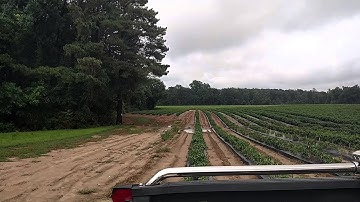 Explosive Target in Water