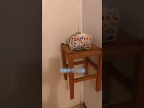 😨В чем здесь подвох?