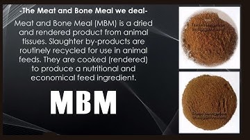 Animal Feed – MBM – Meat and Bone Meal..