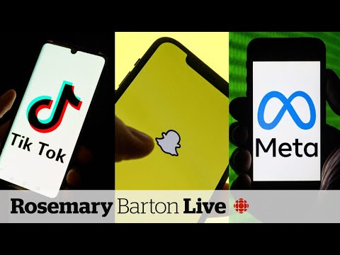 Why Meta, Snap