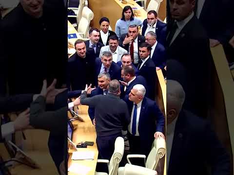 ჩხუბი პარლამენტში — რუსული კანონის ხსენებას ელისაშვილსა და მდინარაძეს შორის დაპირისპირება მოჰყვა