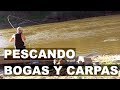 Pesca de bogas y carpas, carpfishing, cebo para carpa, PESCA URBANA, Street Fishing