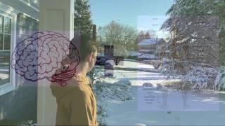 2017 Entry: Why I Think Neuroscience Is...™ Cool Sam Liebman