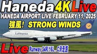 🔵 Live 羽田空港ライブ Haneda Airport Live February 11, 2025  生中継 2025年2月11日 羽田空港ライブカメラ