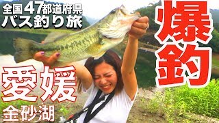 【全国バス釣り旅＃３】 愛媛県でびっくり！こんなに釣れてえーの？w 香川でのハプニングを乗り越え、３県目愛媛県に上陸！！金砂湖へやってきた☆やばい楽しすぎる♩