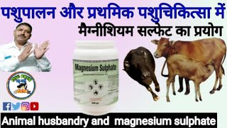 Animal husbandry &  magnesium sulphate | मैगसेल्फ़ का पशु में प्रयोग