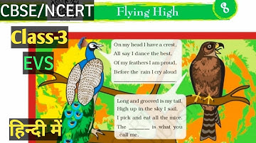 Flying High Class 3 Evs | Flying High | NCERT