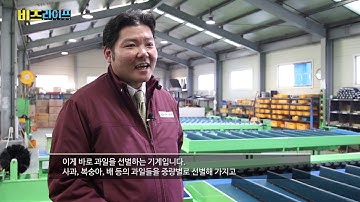 sorting machine for tomato, apple, potato, carrot, mango,onion, cherry