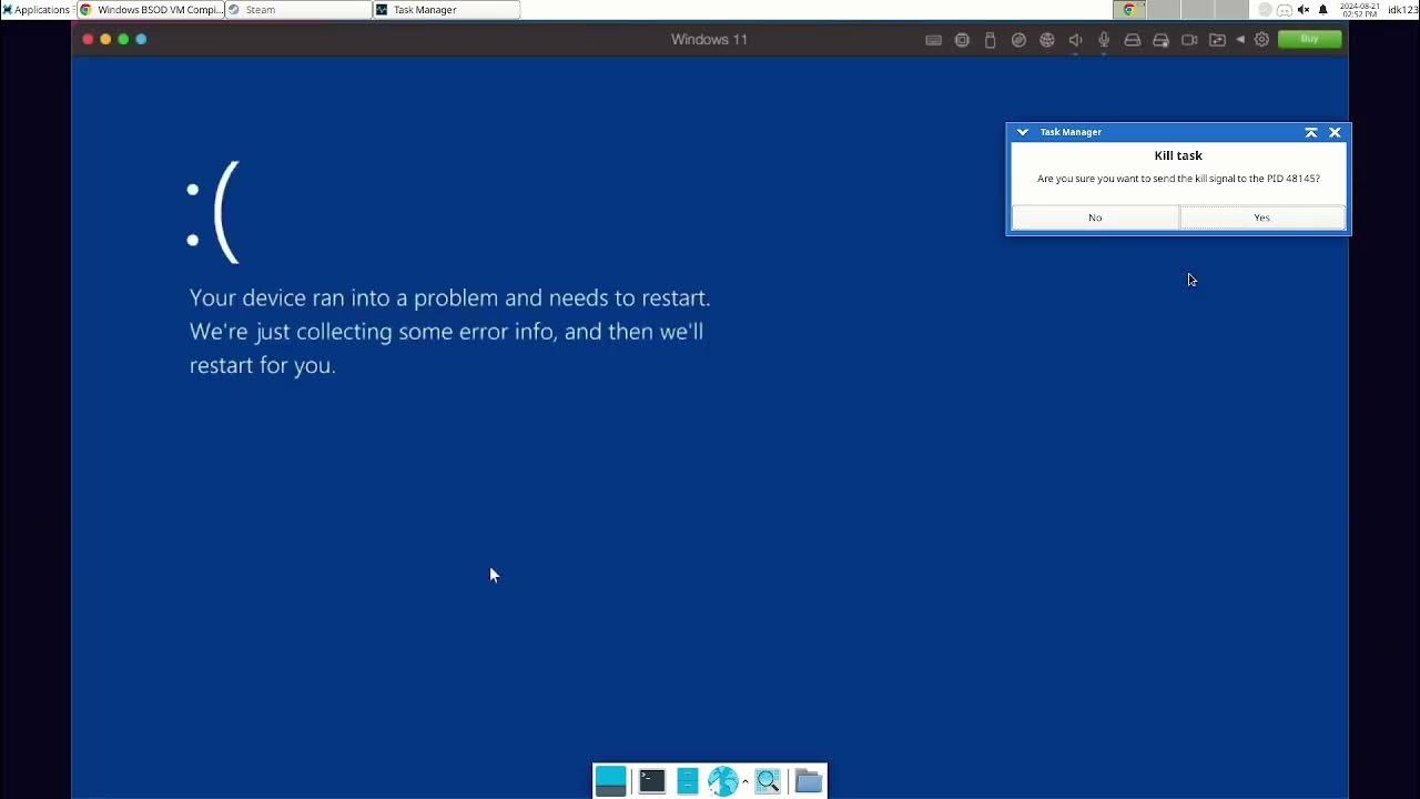 Windows has bsod has crash chrome debian xfce wsl2 youtube