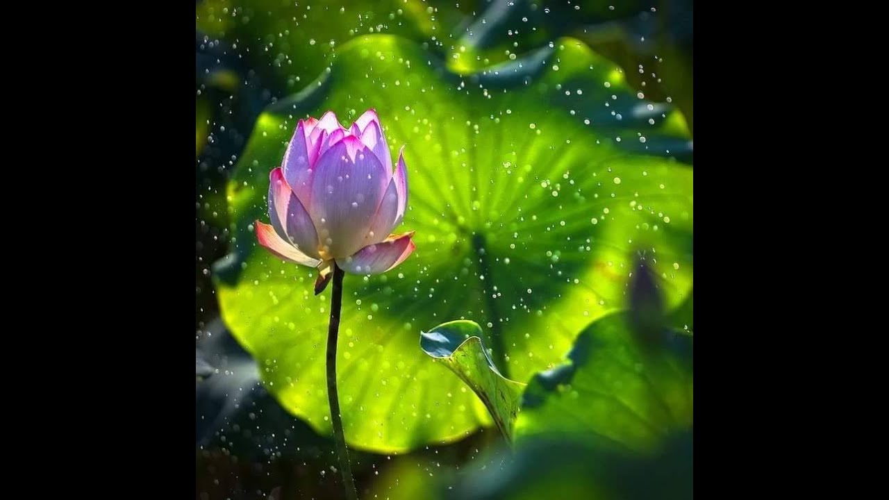 Forgiveness in Cork, Saturday with Jenny Donner, Oct 26 2019