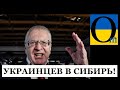 «Украинцев в Сибирь!» Подавитесь, вар‘яти! Мрії кремлівської зграї не збудуться!