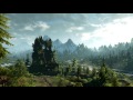 Gambar cover The Witcher 3: Wild Hunt - The Fields of Ard Skellig 1 Hour Version