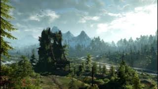 The Witcher 3: Wild Hunt - The Fields of Ard Skellig 1 Hour Version