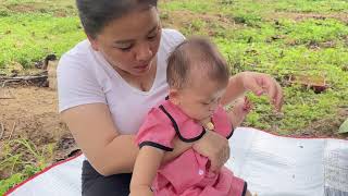 Single mother makes a house out of banana leaves. How to cook and harvest bananas for sale