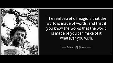 CAN LANGUAGE SHAPE REALITY?