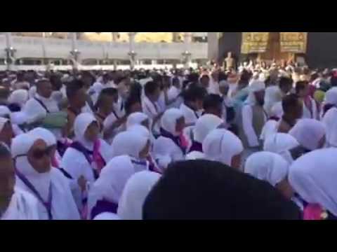VIDEO : umroh lumajang wardah makkah wal madinah  di makkah - pt.pt.wardahwalmadinah. ...