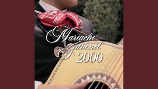 Video thumbnail of "Mariachi Juvenil 2000 - Mi Primer Amor"