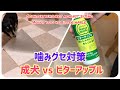 噛み癖を治すビターアップルをダックスフンドの成犬に使用してみた結果