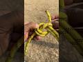 Wow Brilliant Rope Connection!#rope #knot #knotting #lifeskills