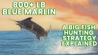 800+ lb Blue Marlin & Big Fish Hunting Strategy | Waterman S05E03 | Visions of Granders