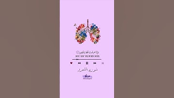 الَّذِي خَلَقَنِي فَهُوَ يَهْدِينِ | سورة الشعراء #اسلام_صبحي تلاوة هادئة 🤍