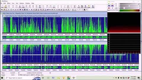 HOW TO USE GOLD WAVE AUDIO EDITER WITH JAWS SCREEN READER IN URDU LANGUAGE? PART 3OF20