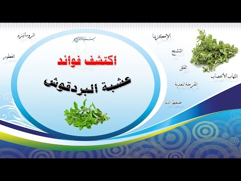 نبتة و زيت البردقوش فوائد لا يعرفها الكثير