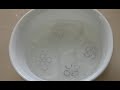 水クラゲとキュウリの酢の物　jellyfish 　vinegared food