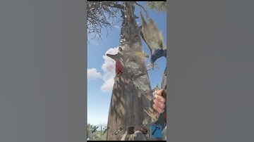 Rust - This TIP could save your life when you