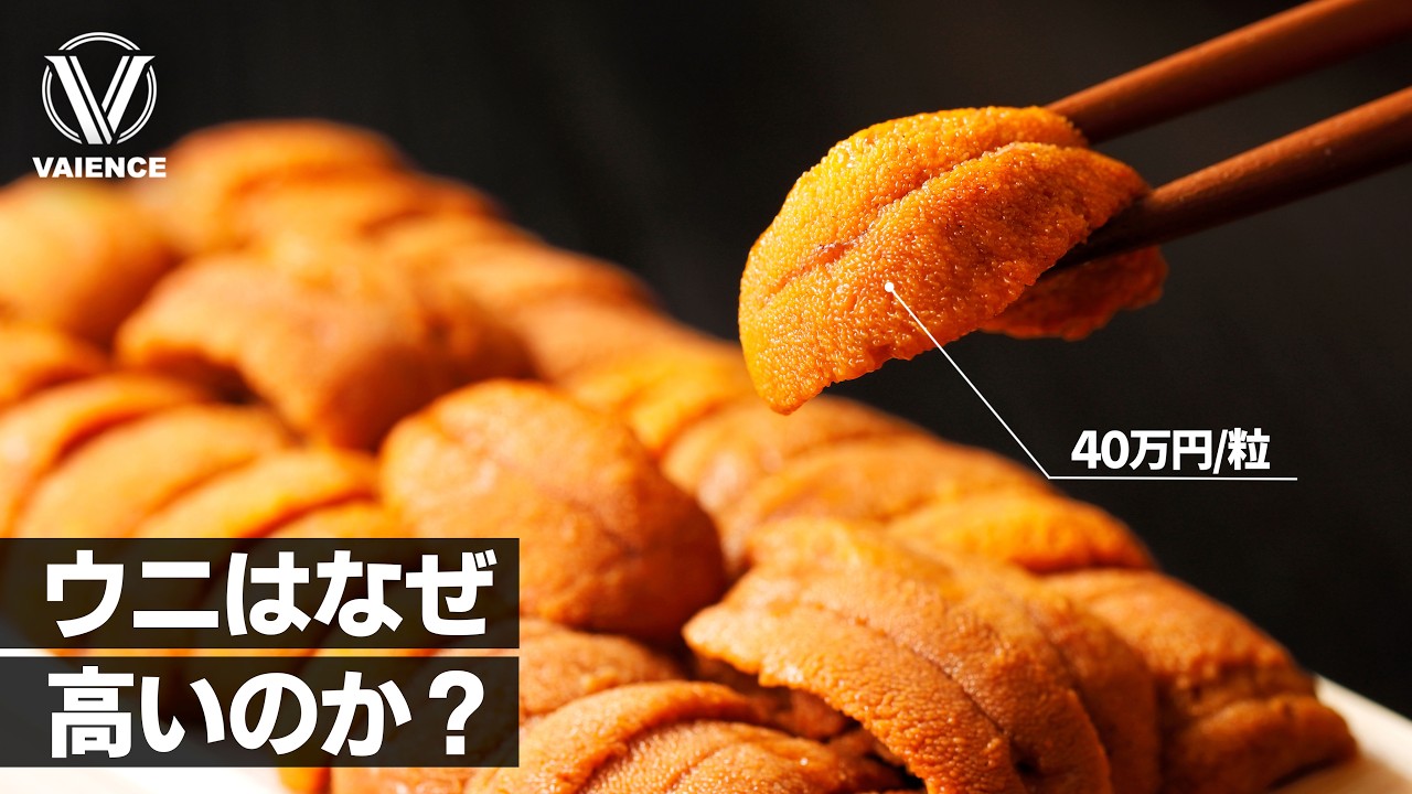 高級ウニの価格を吊り上げている『真の黒幕』