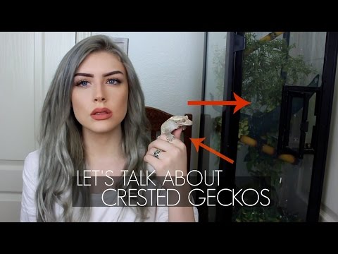 LET'S TALK ABOUT
