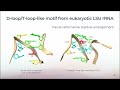 ARTEM tool for searching motifs in RNA 3D structures - Davyd Bohdan - 3D-SIG - ISMB/ECCB 2023