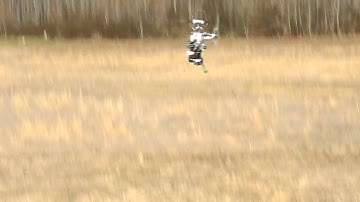 Compass Warp 360 Inverted Auto