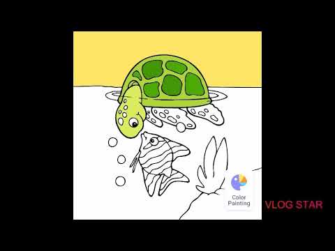 Turtle 🠢 Drawing - YouTube